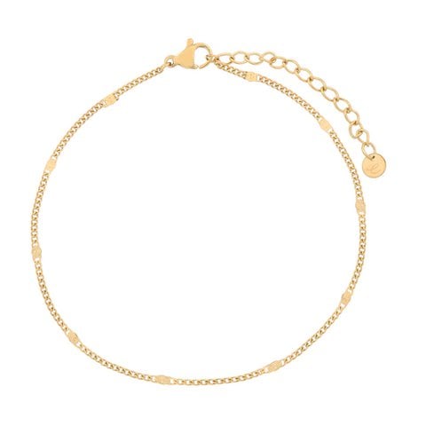 Anklet basic coins