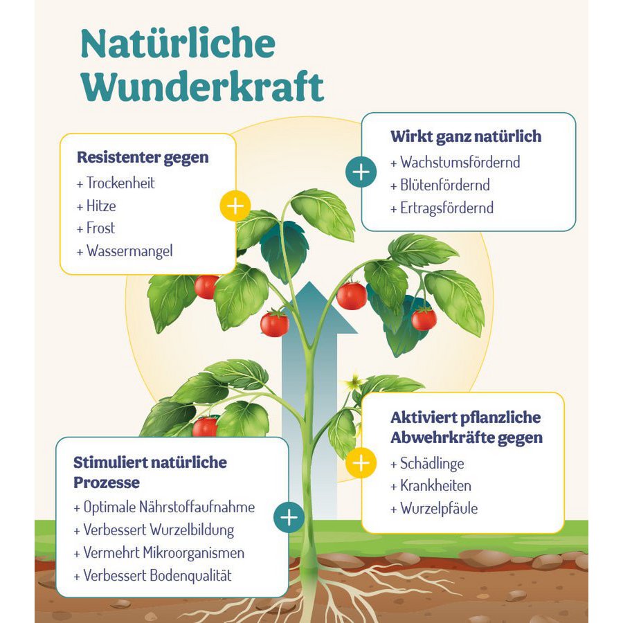 PflanzenWunder - Natürlich starke Pflanzen mit Bambusextrakt