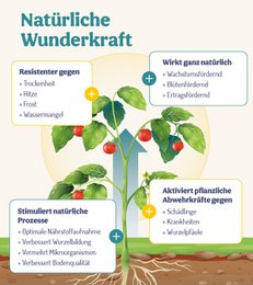 Plant Wonders - Naturligt stærke planter med bambusekstrakt