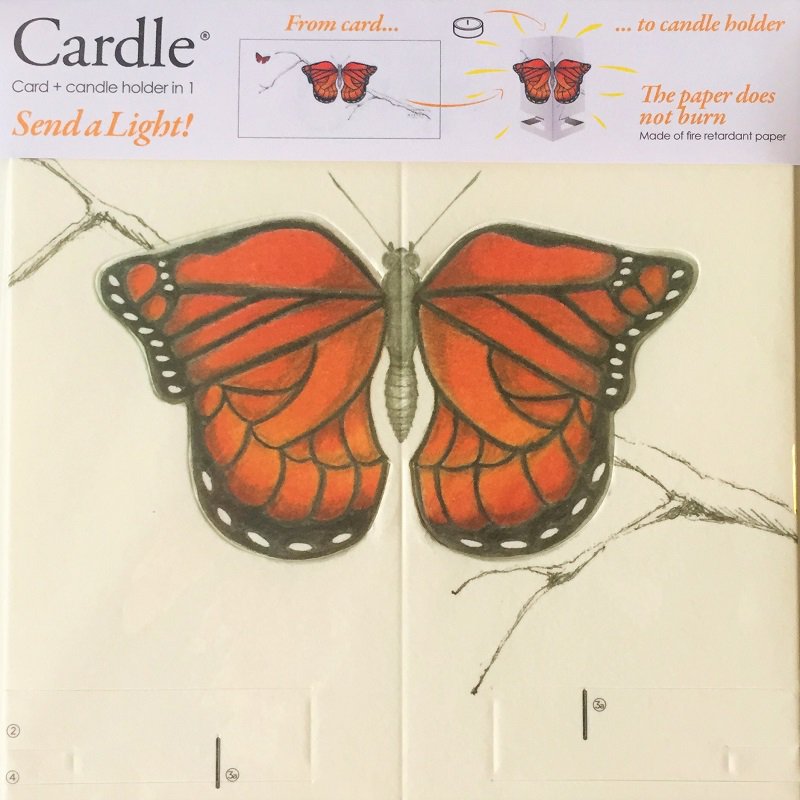 CARDLE  Butterfly Orange (Bright Butterfly) - Candle Holder Greeting Card 