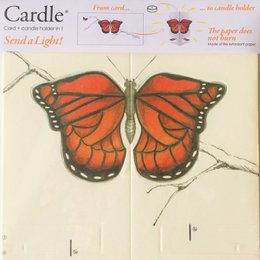 CARDLE Butterfly Orange (Bright Butterfly) - Kaarshouder Wenskaart