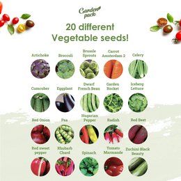 Grow Your Own Veggies