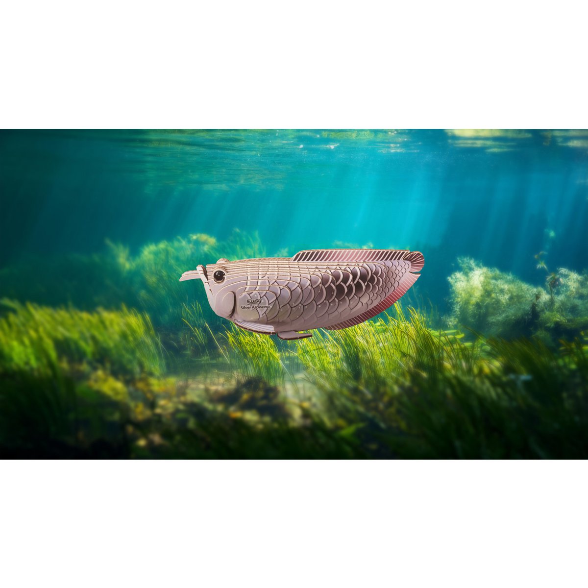 EUGY 3D Puzzle - Silver Arowana