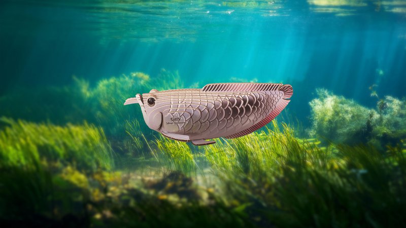 EUGY 3D Puslespil - Sølv Arowana