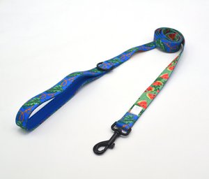 Dog Leash Exotic Melons