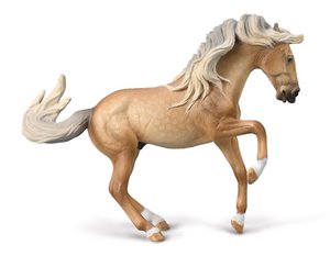 Lusitano Hengst - (XL)
