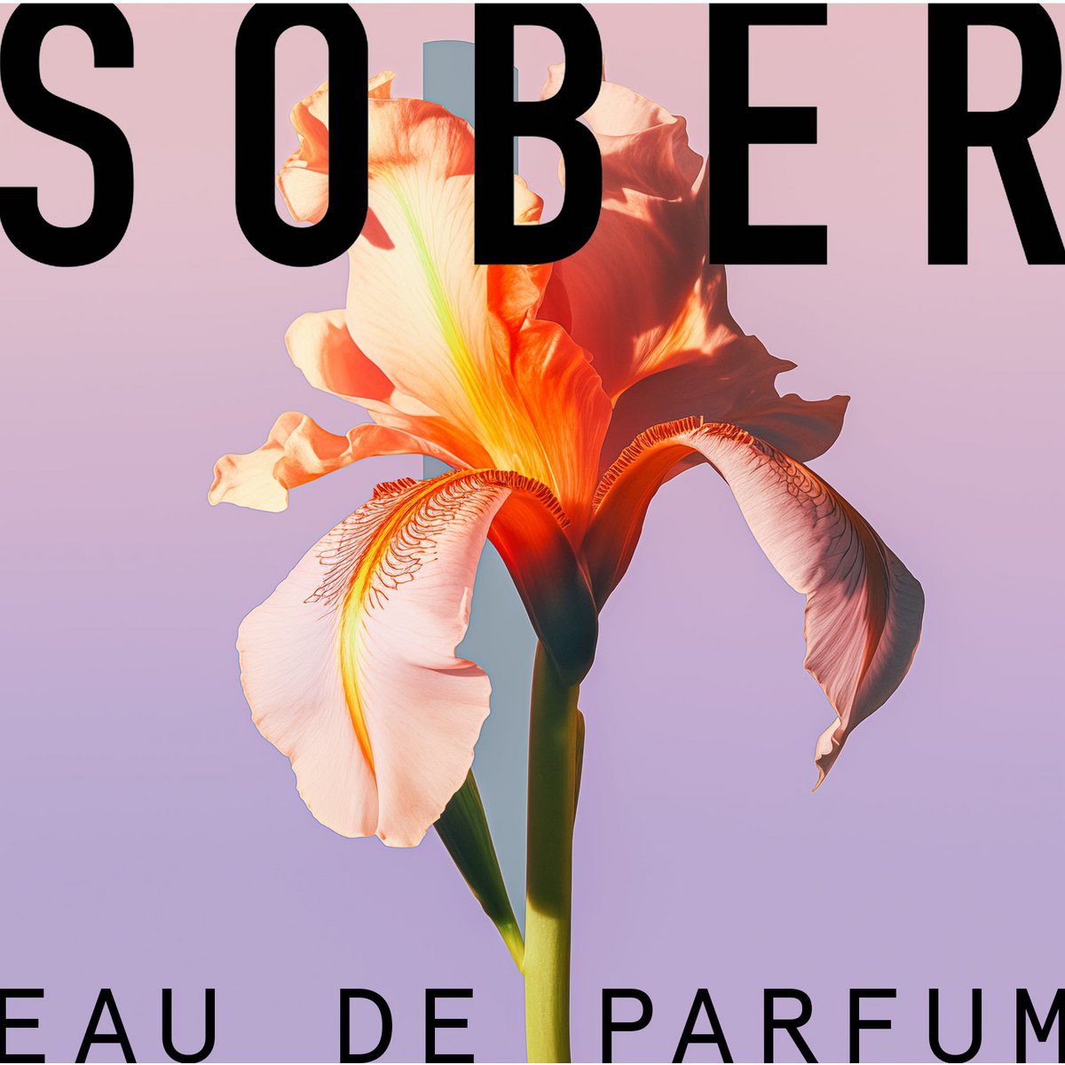 Coffret Découverte - Floral