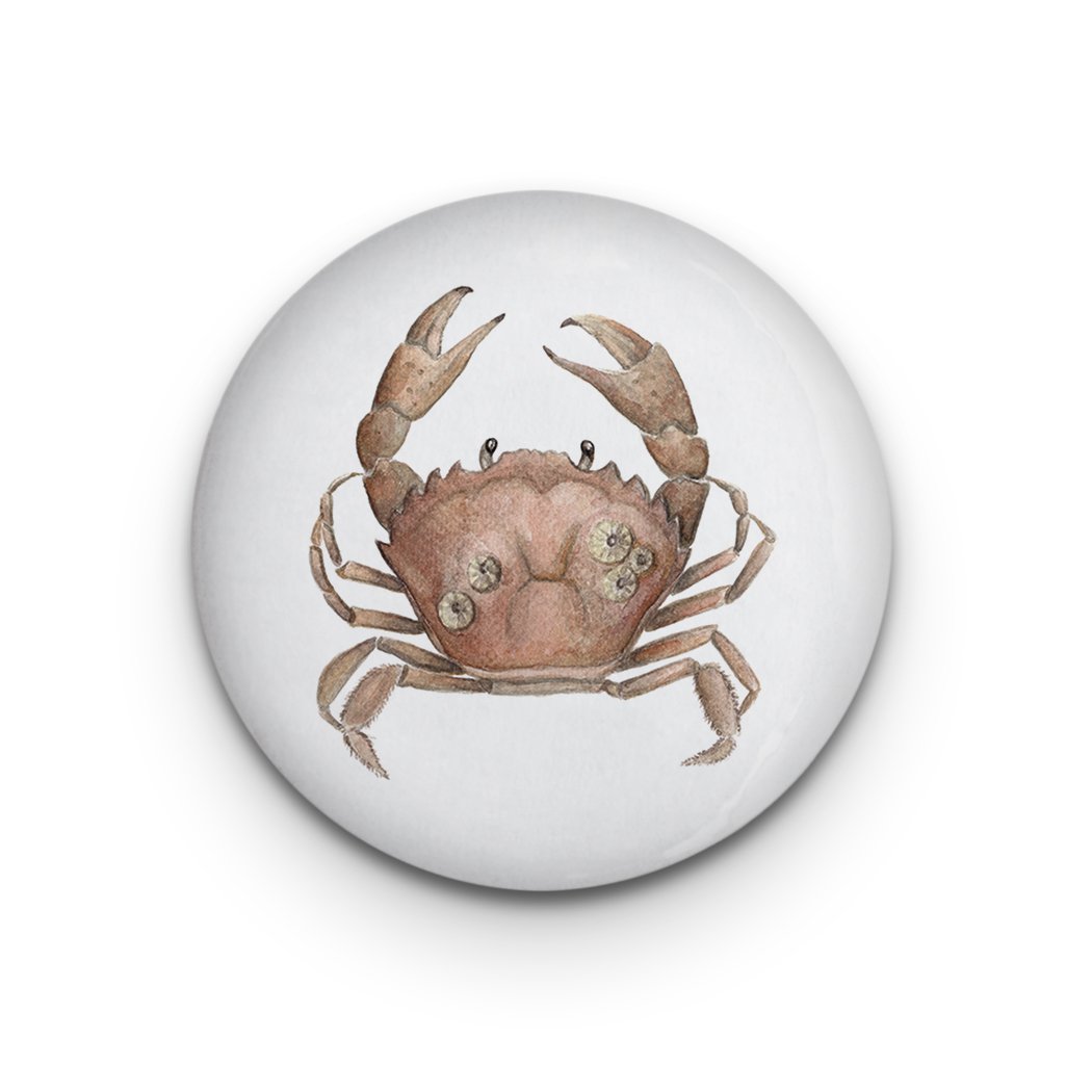 Crabe aimant décoratif