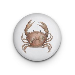 Decorative magnet crab