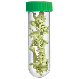 Lo scheletro di T-Rex si illumina al buio