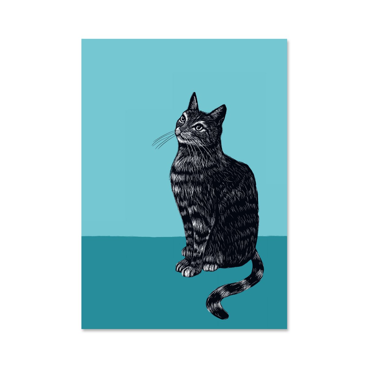 Poster A4 cat