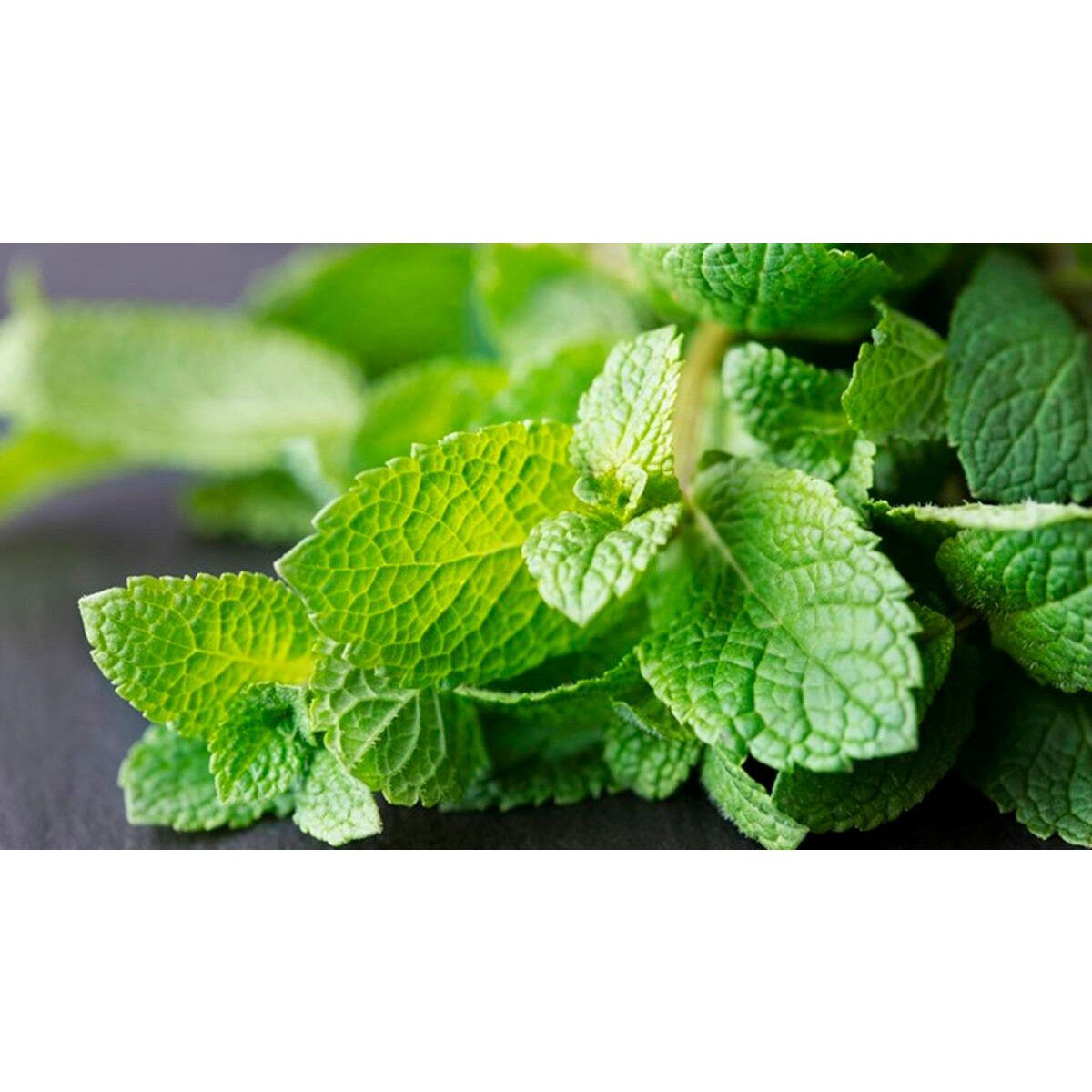 Greek Mint 25g