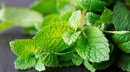 Greek Mint 25g