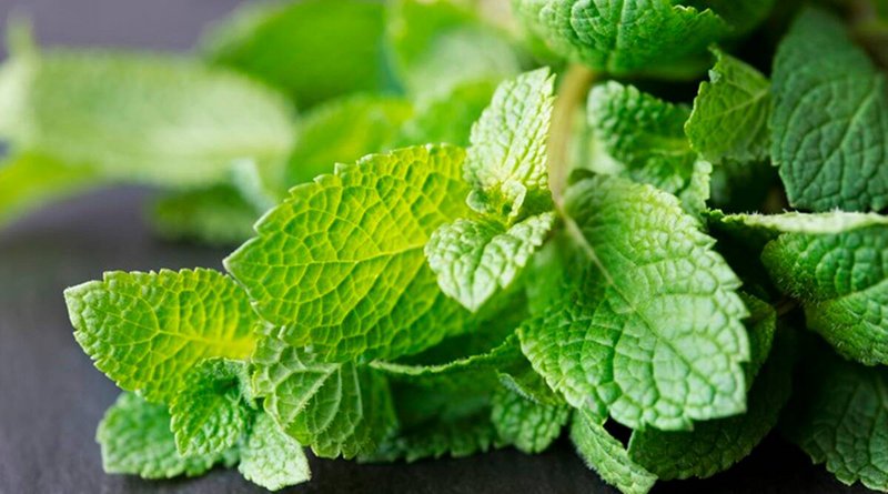 Greek Mint 25g