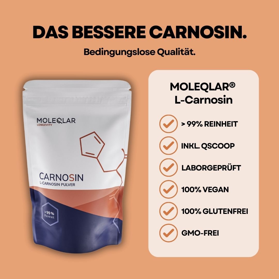 Carnosin Pulver
