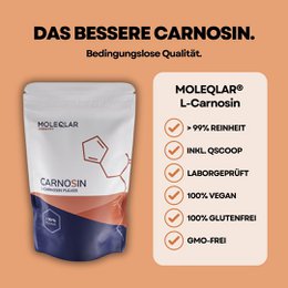 Carnosine Pulver
