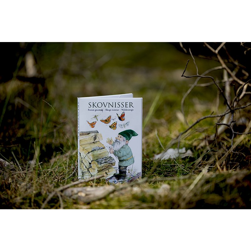 Forrest gnomes- Christmas cards