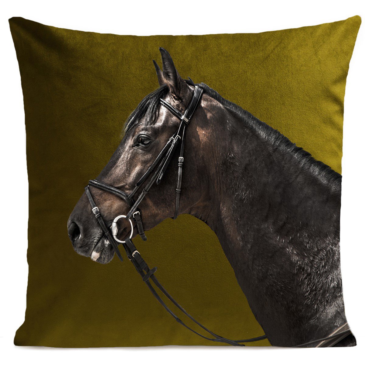 Paardenkussen, Racer
