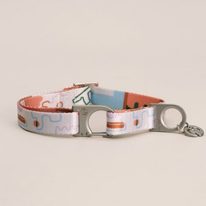 Matteo Dog Collar