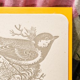Letterpress Thank You Mésange card, turquoise (with envelope)