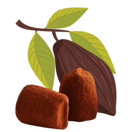 Cacao Pennocchi di cioccolato - Bulk