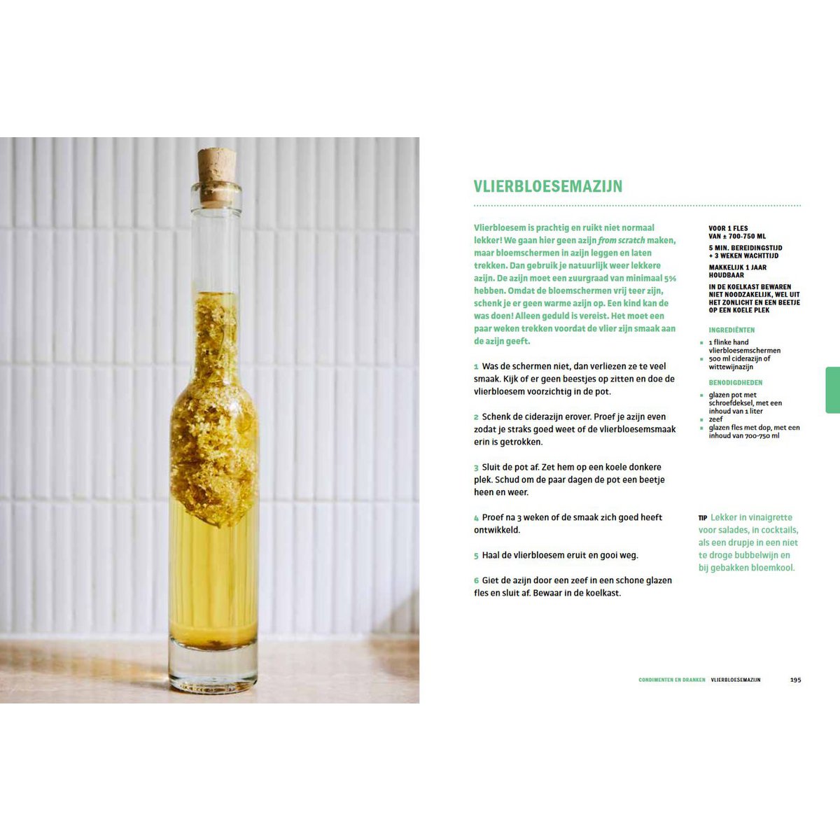 Simone van Thull – Gärung und Gärungsbibel