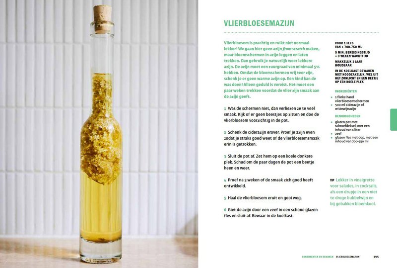 Simone van Thull - Fermentation and Fermentation Bible