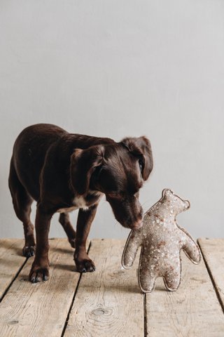 WOLLE. HUNDE SPIELZEUG