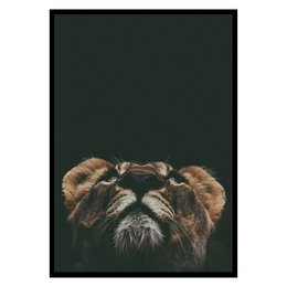 A large, high-quality poster featuring a close-up portrait of a tiger's face against a dark green background. The poster is available in multiple sizes, making it suitable for various wall art applications.