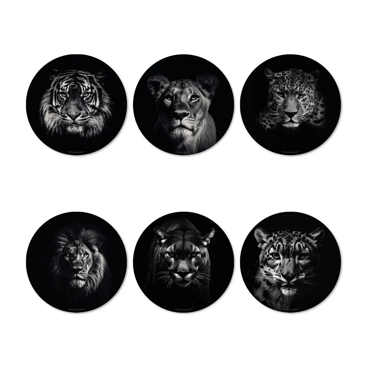 King & Queen Coasters Set