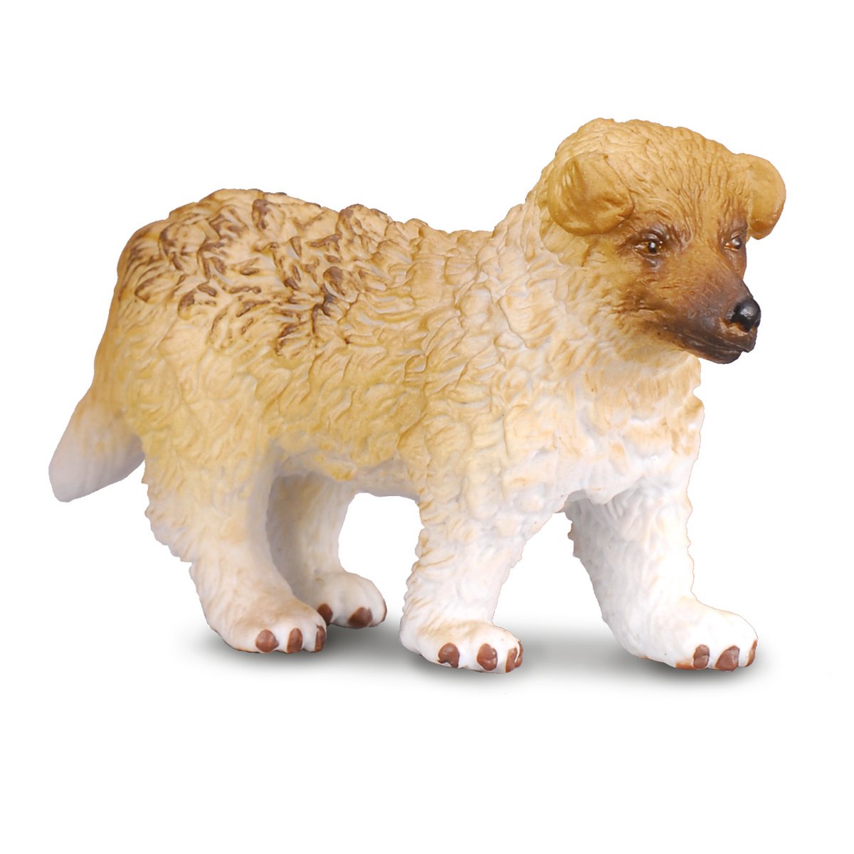 Collie Puppy - (S)