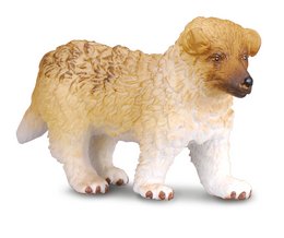 Collie-hvalp - (S)