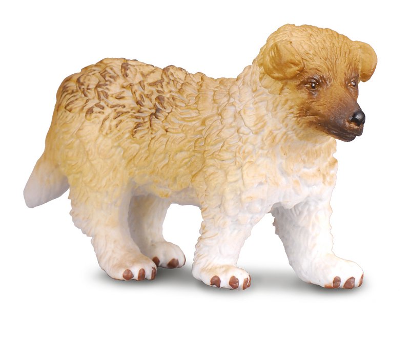 Collie-hvalp - (S)