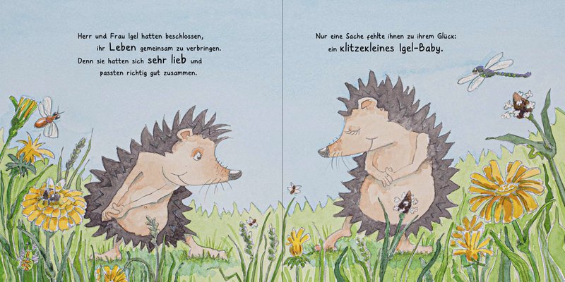 Die Geschichte von Herrn und Frau Igel