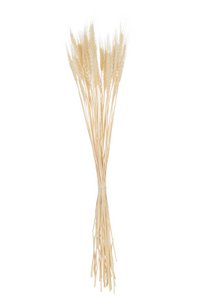 J-Line Bundle Dried Wheat Ecru