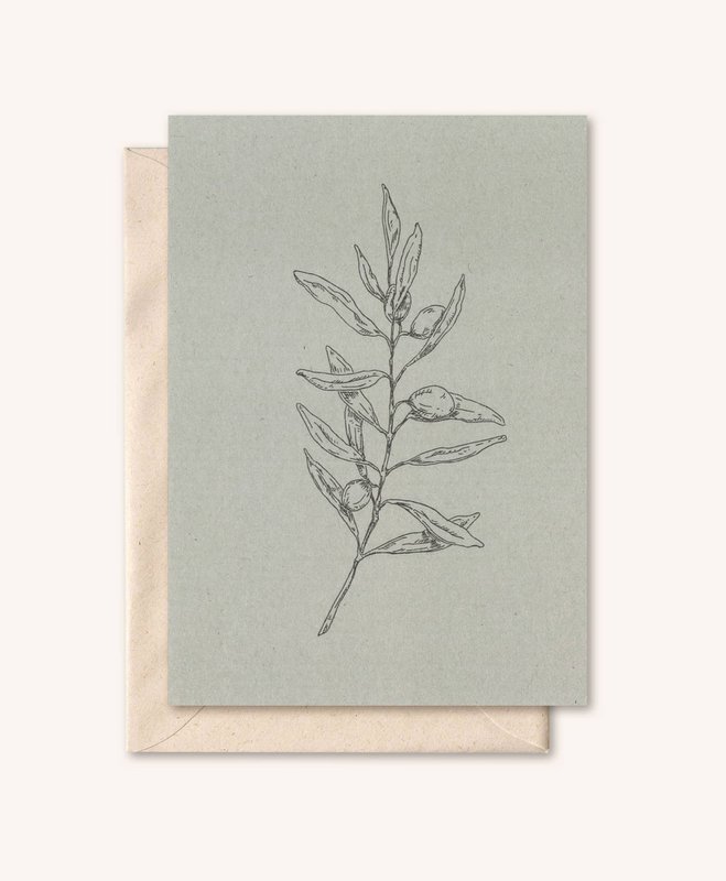 Sustainable card + envelope | Olive branch | silver fir