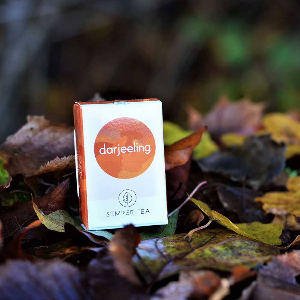 DARJEELING biologico Tè nero I Tè piramidale