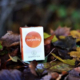 DARJEELING biologico Tè nero I Tè piramidale