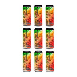 Rudys Alive Passion Obst & Mango Kombucha (24x330ml)