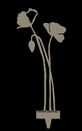 Poppy open up - Stalowy obiekt Corten