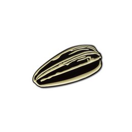 Emaille-Pin „Sonnenblumenkerne“