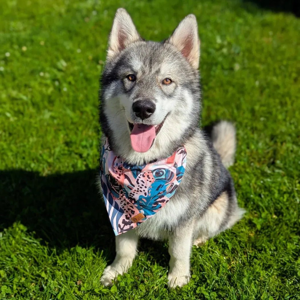 Savannah necklace and bandana