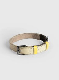 Adjustable pet collar in light sage/khaki color with yellow accent. Made of durable material for comfortable wear.