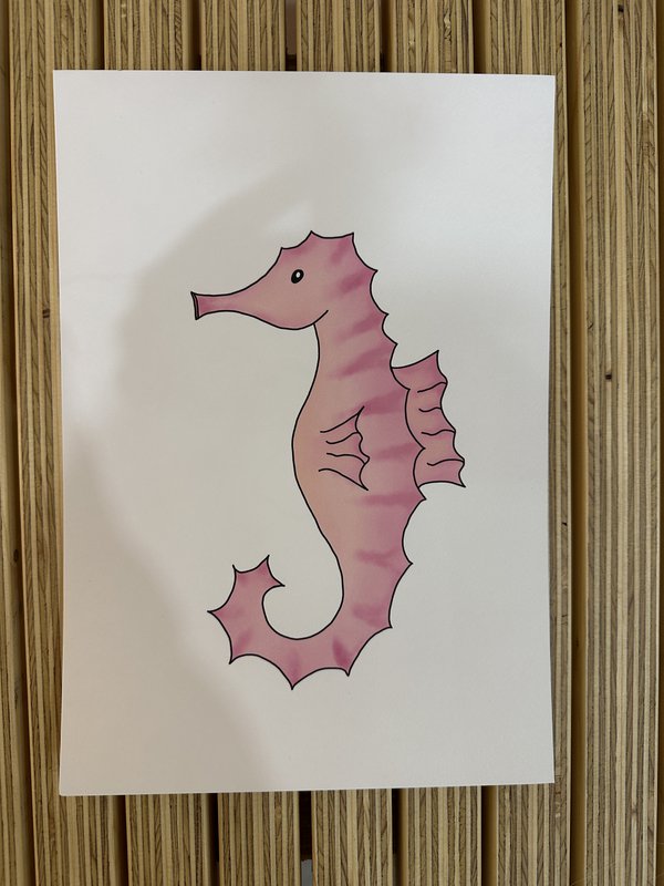 Sea animals poster