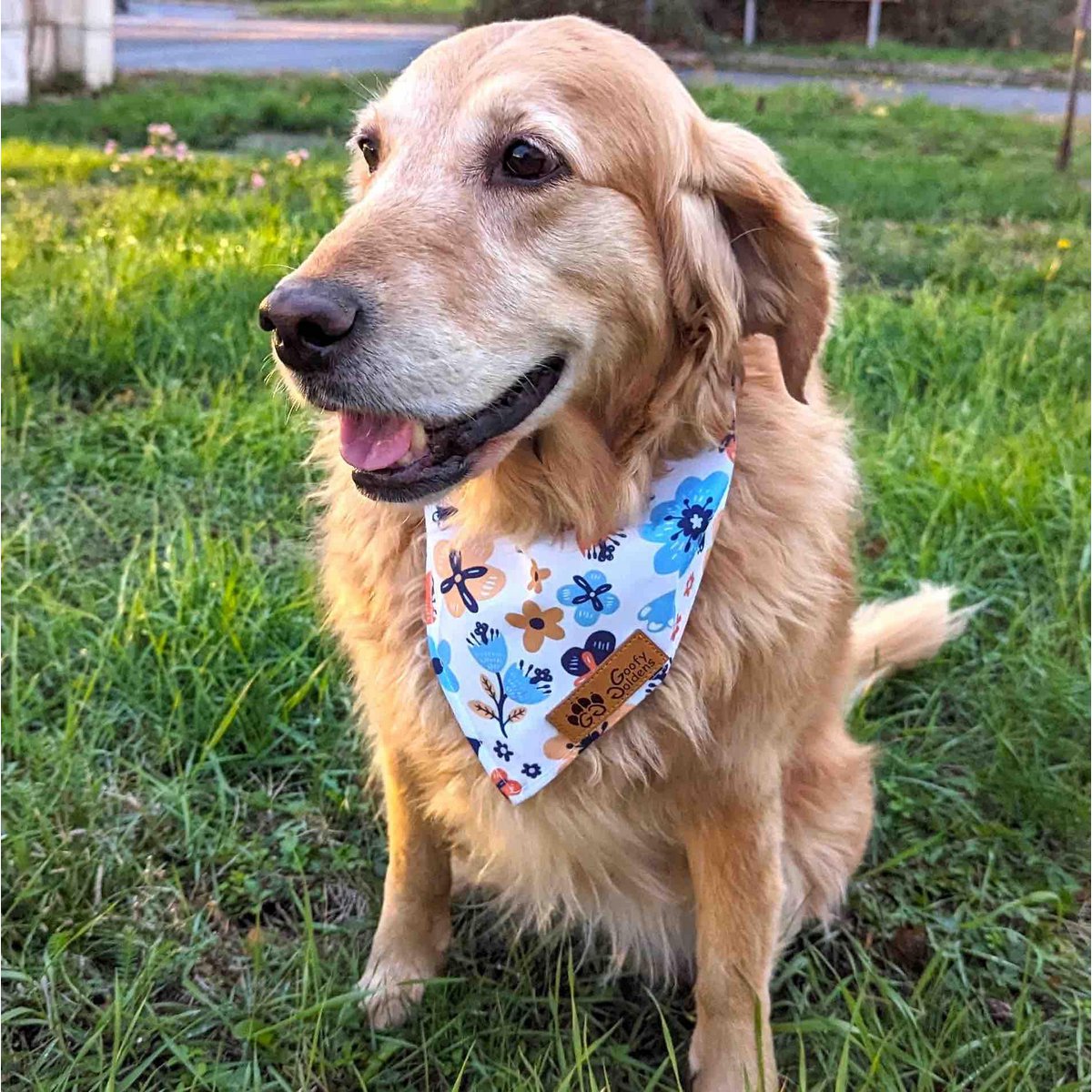 Spring dog bandana