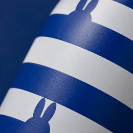 IZY Bottle 500ml x Miffy - Blue/white