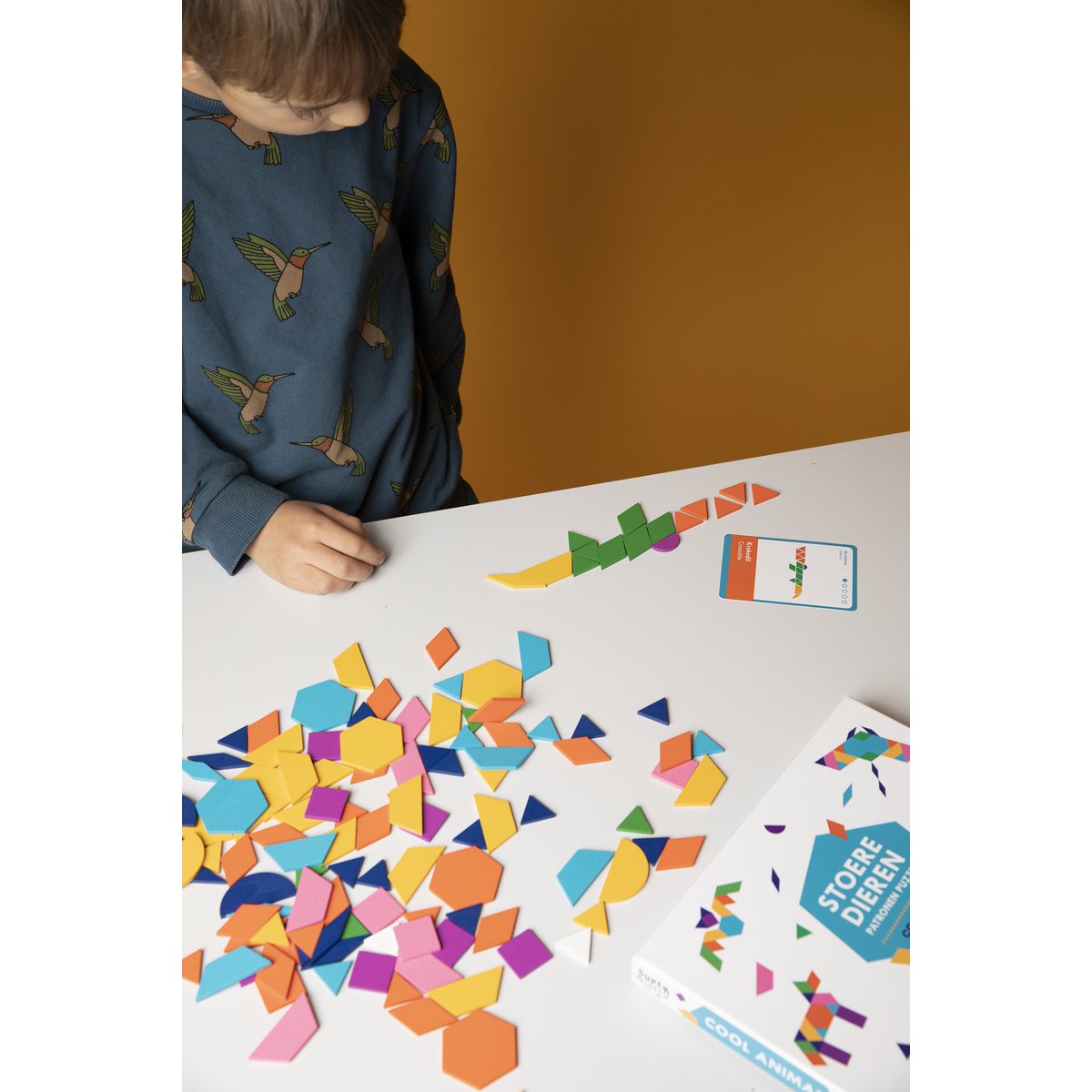 Tough Animal Patterns Puzzle