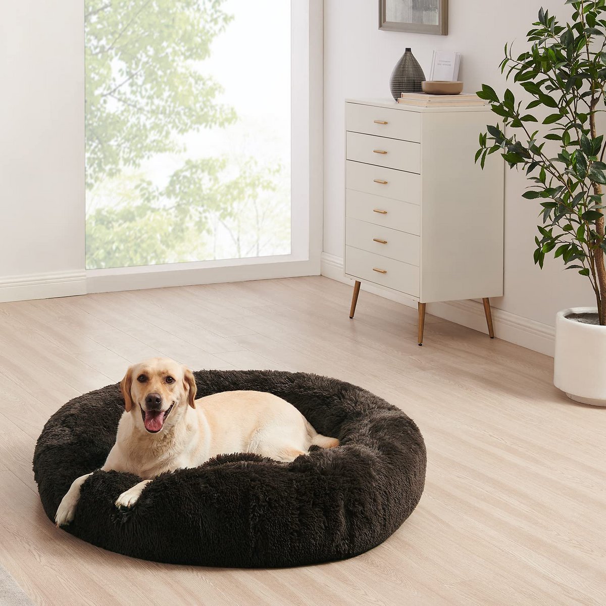 Bed cushion pets