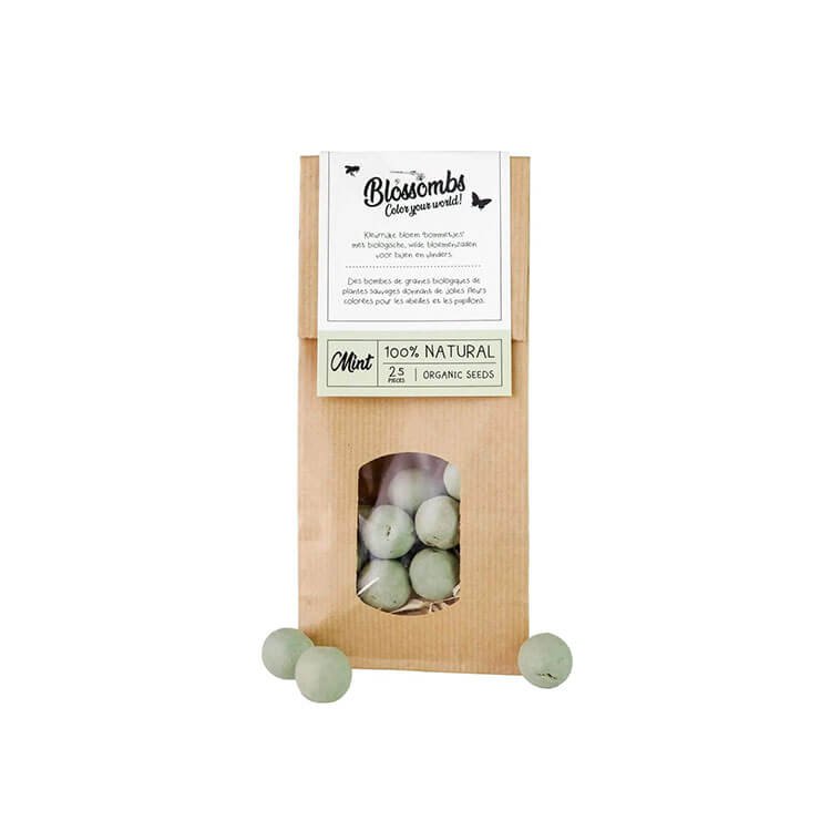 Kraft Bag 10 Pieces Seed Bomb