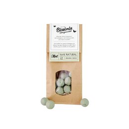 Kraft Bag 10 Pieces Seed Bomb